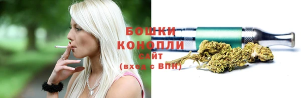 соль ск Надым