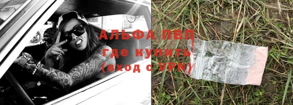 соль ск Надым