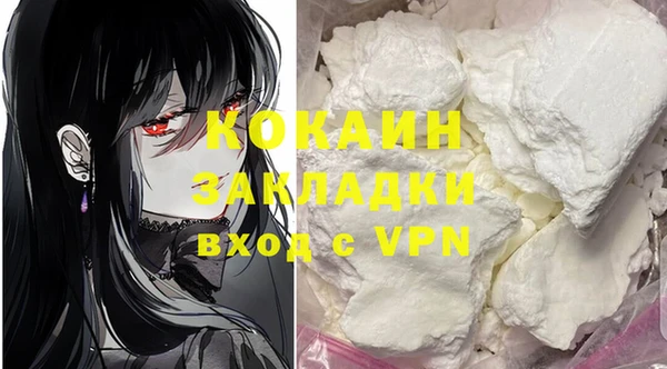 соль ск Надым
