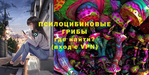 соль ск Надым