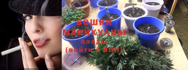 соль ск Надым