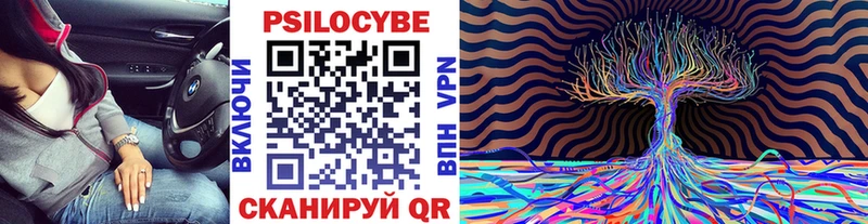 площадка клад Ковров Псилоцибиновые грибы MAGIC MUSHROOMS закладка